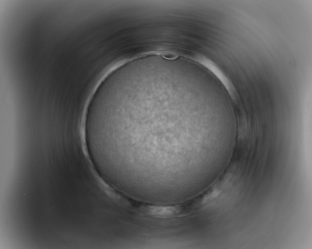 X0000092050861200709262008