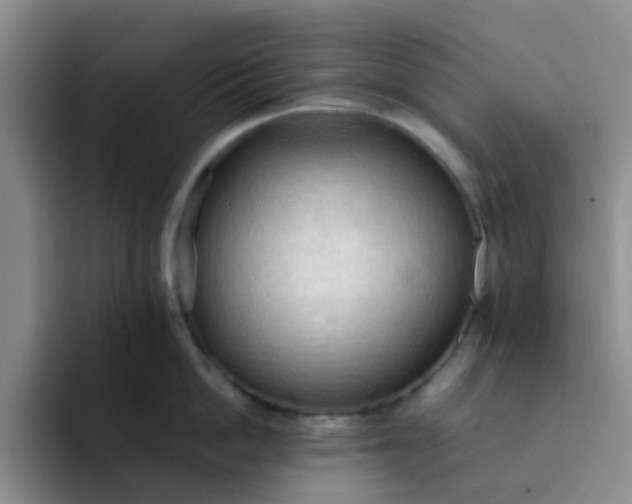 X0000092050862200709262008