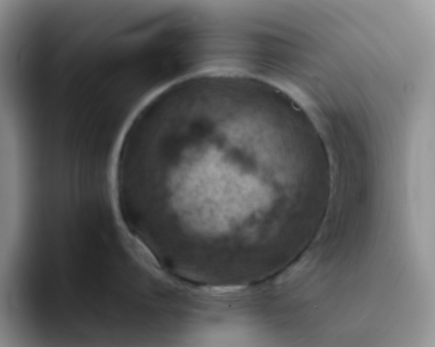 X0000092050864200709262008