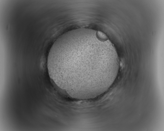 X0000092050867200709262008