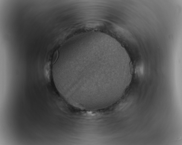 X0000092050868200709262008