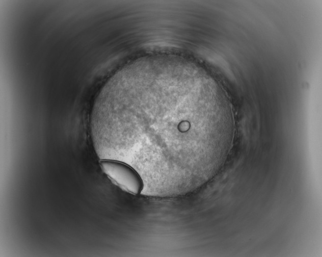 X0000092050870200709262008