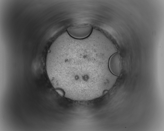 X0000092050871200709262008