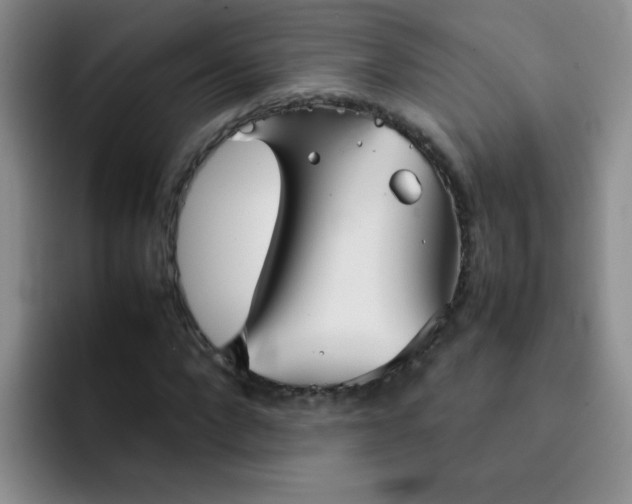 X0000092050872200709262008