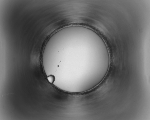 X0000092050873200709262008