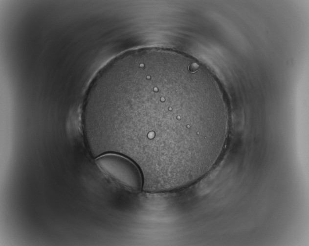 X0000092050875200709262007