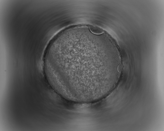 X0000092050879200709262007