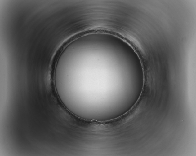 X0000092050880200709262007