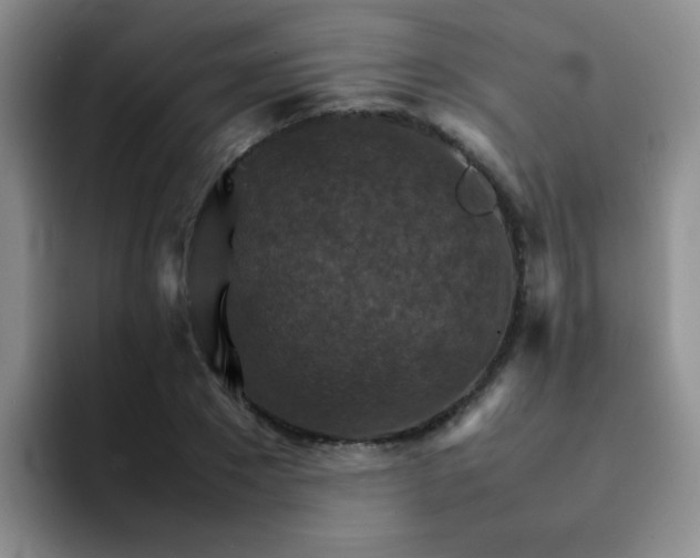 X0000092050881200709262007