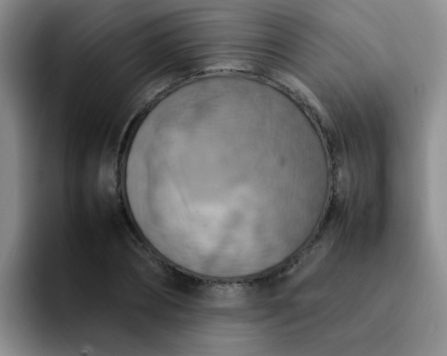 X0000092050882200709262007