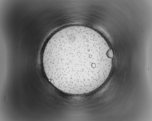 X0000092050883200709262007