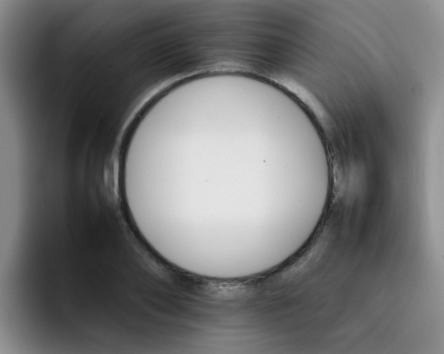 X0000092050886200709262007