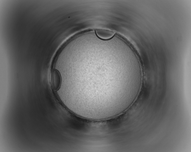 X0000092050887200709262007