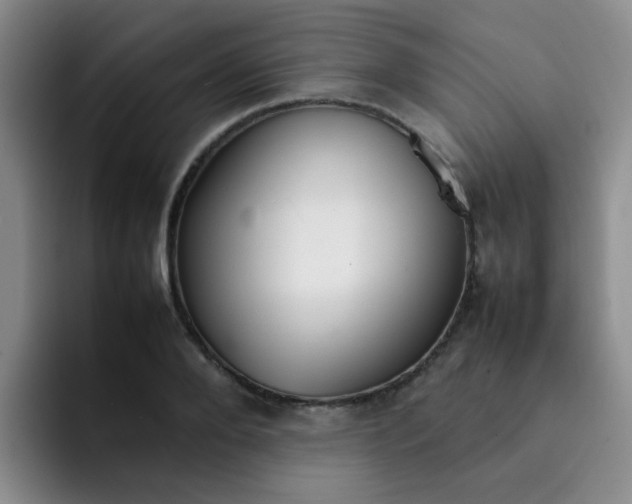 X0000092050888200709262007