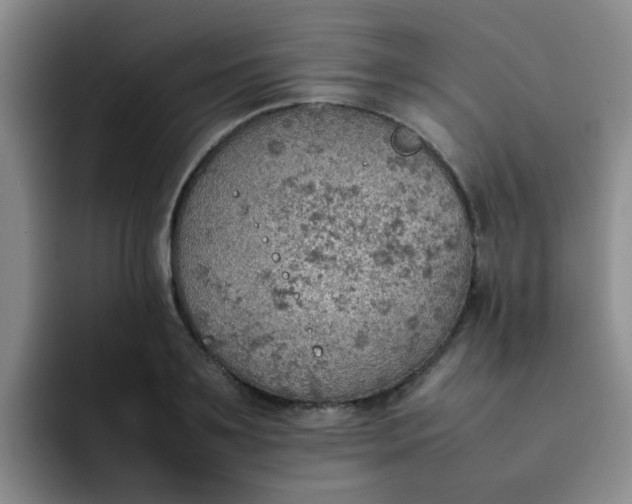 X0000092050891200709262007