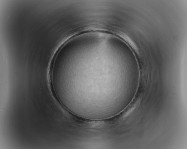 X0000092050893200709262007