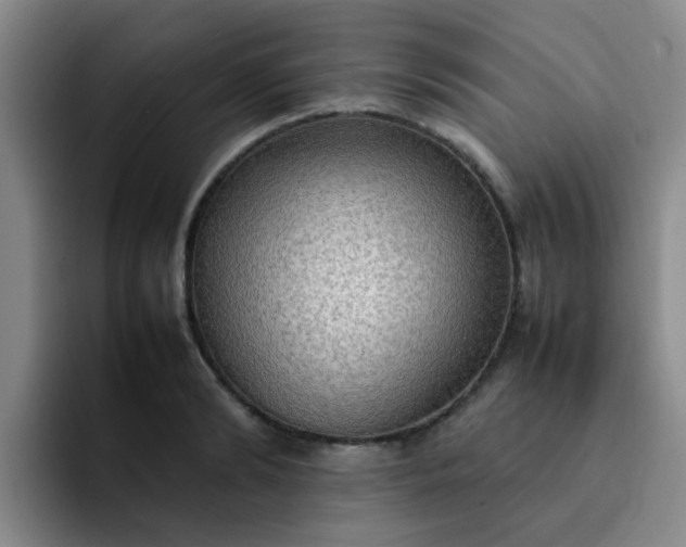 X0000092050894200709262007