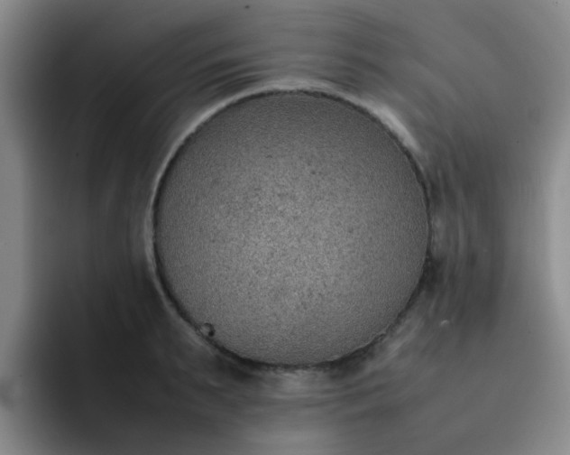 X0000092050895200709262007