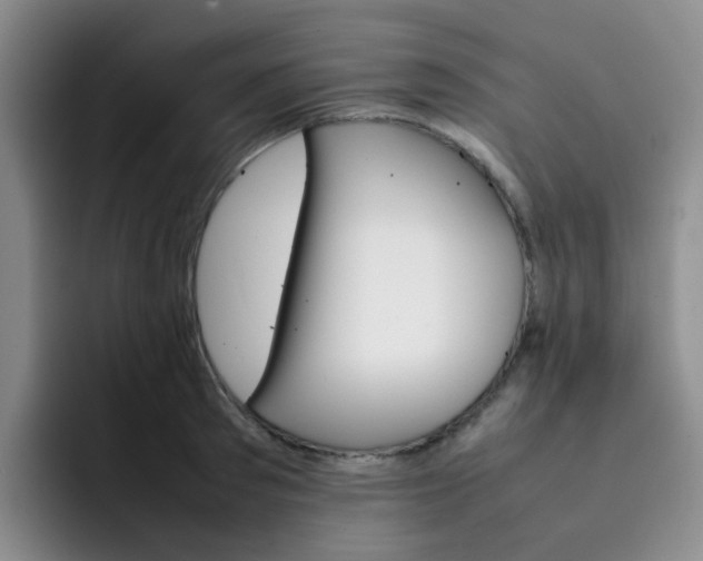 X0000092050897200709262007