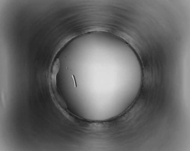 X0000092050898200709262007