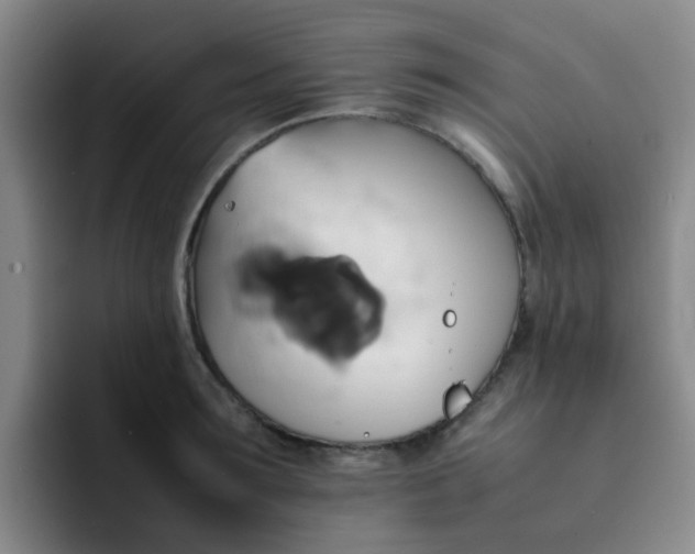 X0000092050899200709262007