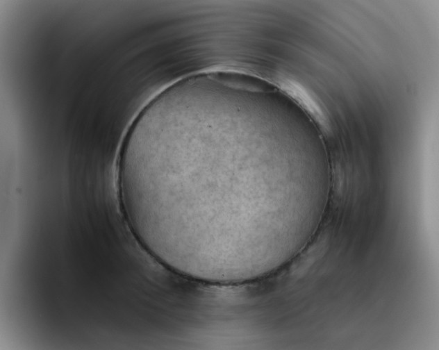 X0000092050900200709262007