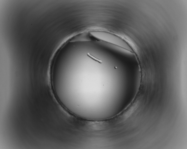 X0000092050902200709262007