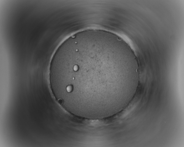 X0000092050903200709262007