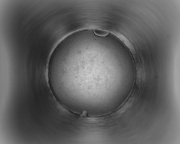 X0000092050904200709262007