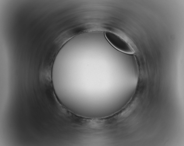 X0000092050905200709262007