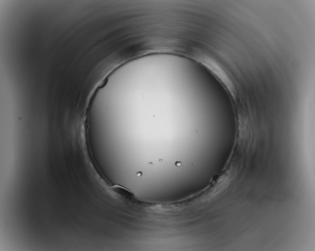 X0000092050906200709262007