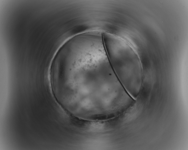 X0000092050907200709262007