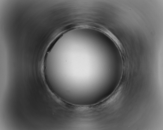 X0000092050909200709262007