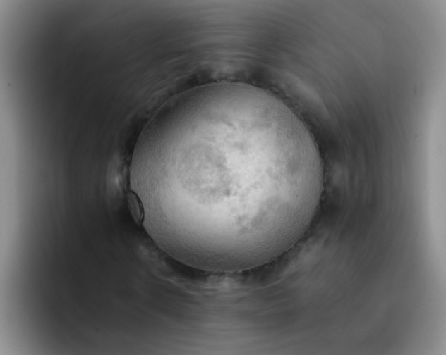 X0000092050914200709262007