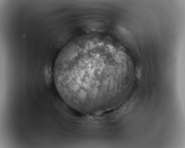 X0000092050915200709262007