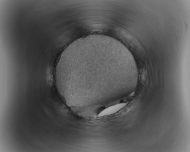 X0000092050916200709262007