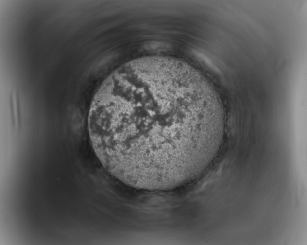 X0000092050917200709262007