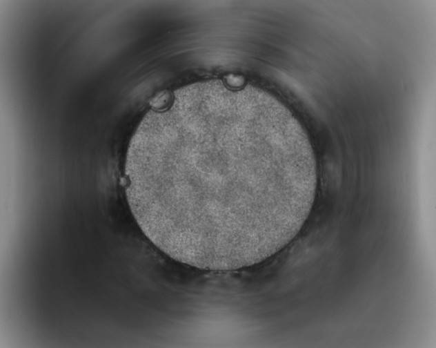 X0000092050918200709262007