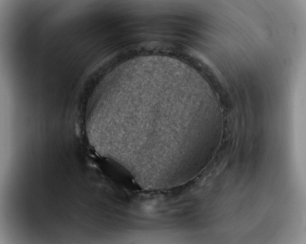 X0000092050919200709262007