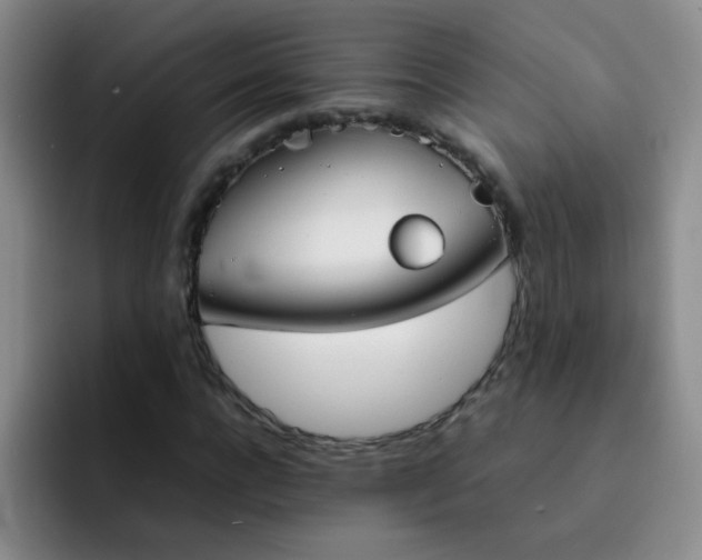 X0000092050920200709262007