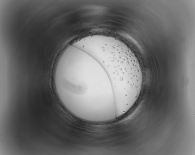 X0000092050921200709262007