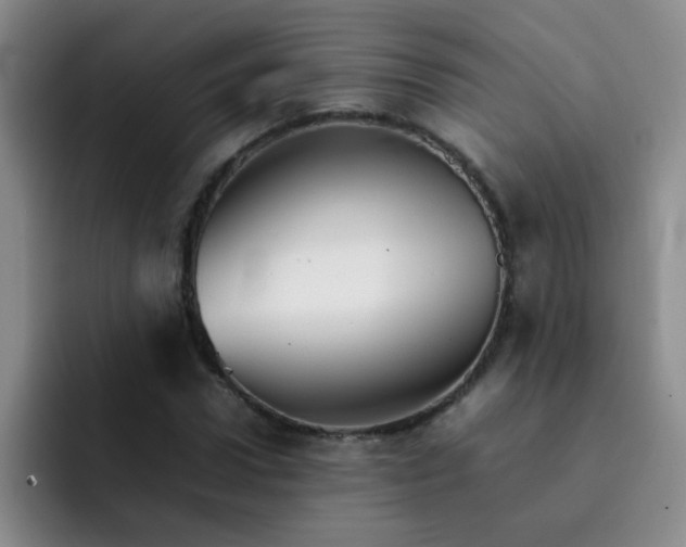 X0000092050922200709262007