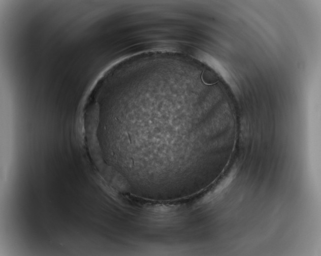 X0000092050923200709262007