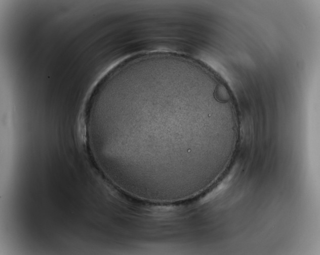 X0000092050925200709262007