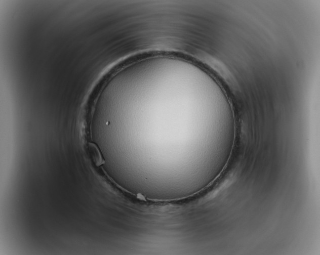 X0000092050926200709262007