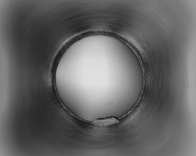 X0000092050927200709262007