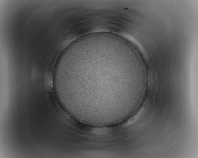 X0000092050929200709262007