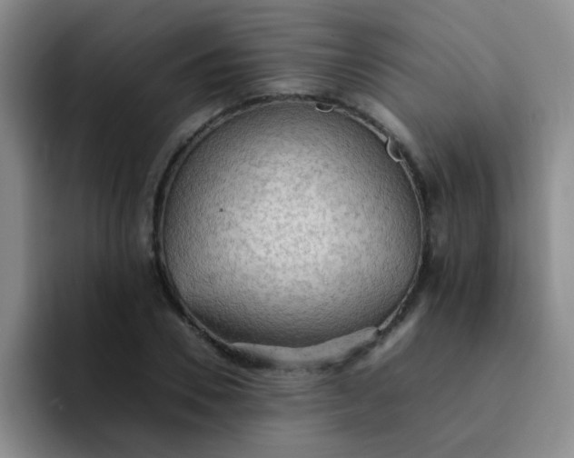 X0000092050930200709262007