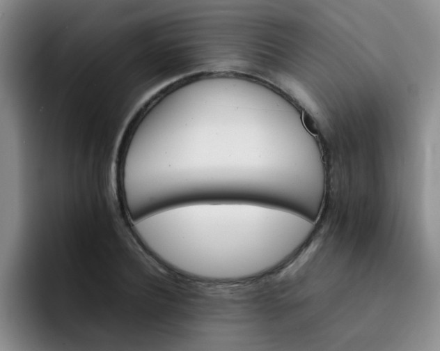 X0000092050932200709262007