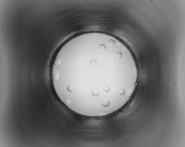 X0000092050933200709262007